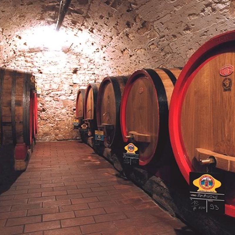 Our Renewed Cellar: A New Chapter for Fine Wines